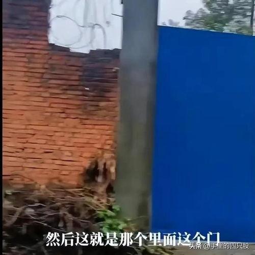 江西高中生最新爆料视频,揭秘校园生活背后真相 第2张 江西高中生最新爆料视频,揭秘校园生活背后真相 第2张