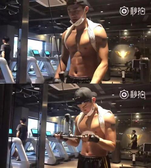 健身最新爆料视频大全集,视频大全集深度解析 第3张 健身最新爆料视频大全集,视频大全集深度解析 第3张