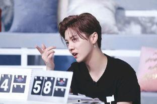 今日娱乐爆料鹿晗是谁啊,揭秘今日娱乐爆料焦点人物  第1张