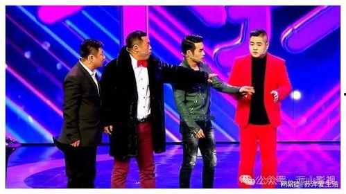 辽宁春晚爆料视频播放,精彩瞬间抢先看! 第3张 辽宁春晚爆料视频播放,精彩瞬间抢先看! 第3张